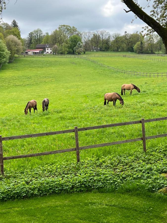 Privat bolig Herrenhaus - Starnberger - Ammerland Münsing