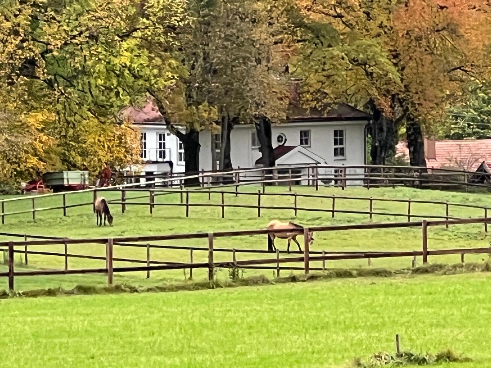 Herrenhaus - Starnberger - Ammerland Privat bolig *